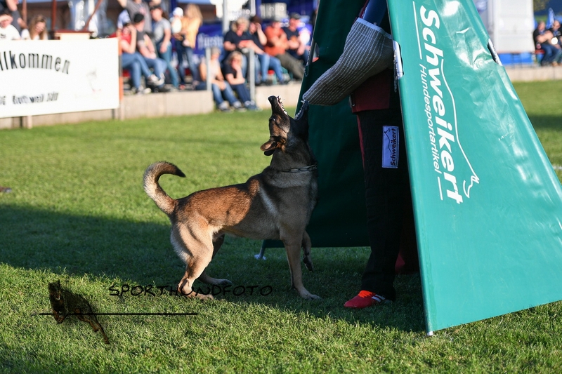 Impressionen 406.jpg